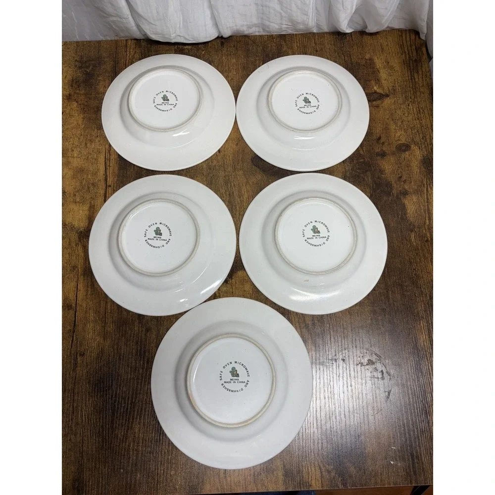 Set of‎ 5 Meiwa Ceramic Dessert Plates Cactus Desert Southwest Design